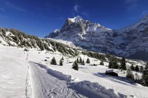 Winterwanderung Bussalp - Grindelwald