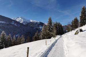 Winterwanderung Sedrun - Disentis