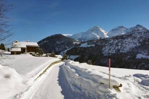 Winterwanderung Sedrun - Disentis