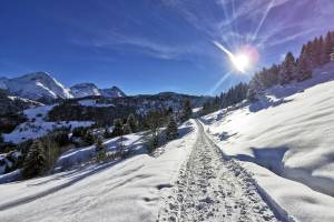 Winterwanderung Sedrun - Disentis
