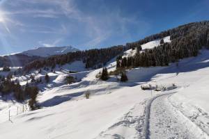 Winterwanderung Sedrun - Disentis