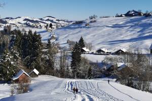 Hemberg