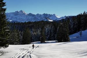 Schneeschuhtour Hemberg - Salomonstempel, im Hintergrund der Alpstein