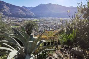 Wanderung Monte Carasso - San Bernardo - Sementina