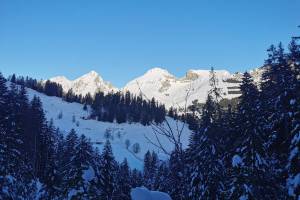 Schneeschuhtour Jaun - Musersbergli