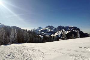 Winterwanderung Jaunpass - Bäderegg