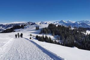 Winterwanderung Jaunpass - Bäderegg