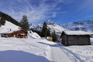 Winterwanderung Mürren - Allmendhubel