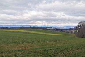 Wanderung Grolley - Ponthaux - Cousset