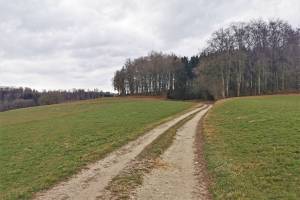 Wanderung Grolley - Ponthaux - Cousset