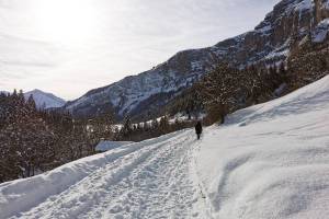 Winterwanderung Leukerbad - Bodmen