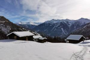 Bodmen