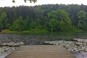 Buebenweier