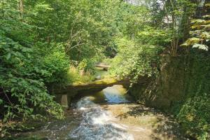 Naturbrücke in der Mülenenschlucht
