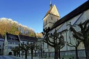 Stiftskirche St-Ursanne