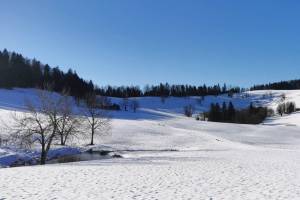 Vacherie-Mouillard