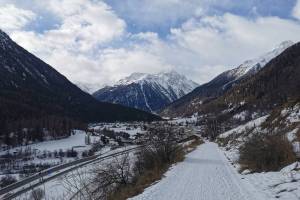 Bei Lavin