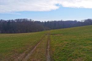 Bei Messen