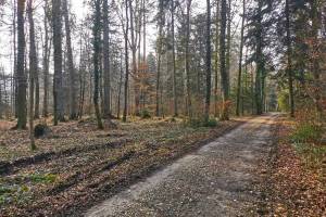 Bei Messen