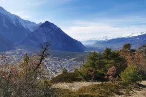 Felsensteppe