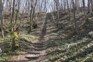 Escaliers des douaniers (Zöllnertreppe)