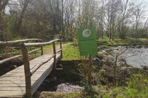 Grenzfluss Faloppia bei Seseglio