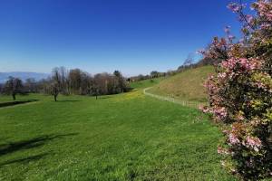 Aufstieg zum Bachtel