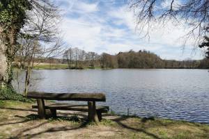 Etang du Milieu, Bonfol