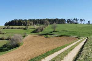 Oberhalb von Bargen SH