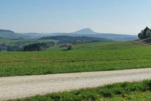 Am Schönebühl bei Bargen SH, Blick zum Hohenhewen