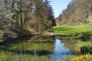 Teich im Gebiet Müli, Bargen SH