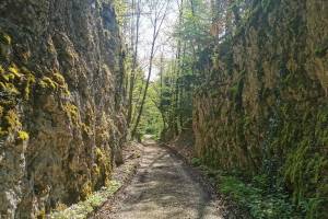 Hohlweg zwischen Porrentruy und Courchavon