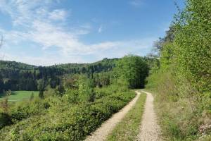 Zwischen Porrentruy und Courchavon