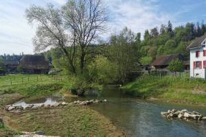 L'Allaine bei Courchavon