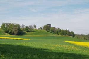Zwischen Courchavon und Mormont