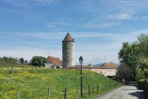 Schloss Porrentruy