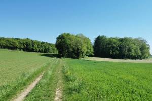 Zwischen L'Isle und Moiry