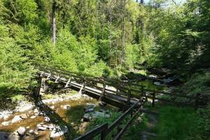 Rotbachtobel