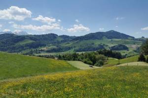 Bei Haslen AI, Blick zu Säntis und Hundwiler Höhi