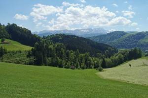 Bei Schlatt AI, Blick zum Säntis