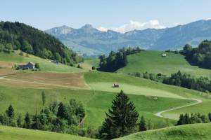 Bei Schlatt AI, Blick zum Alpstein