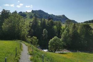Appenzell, Auenwald an der Sitter