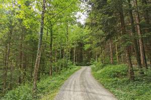 Bei Eichberg SG