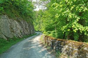 Waldstrasse zur Kristallhöhle Kobelwald, zwischen Fuchsplatz und Tanzplatz