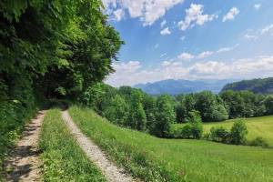 Zwischen Kobelwald und Rüthi SG