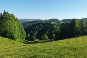 Oberberg bei Brunnadern
