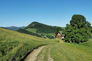 Oberberg bei Brunnadern