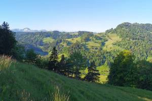 Oberberg bei Brunnadern, Blick zu den Glarner Alpen