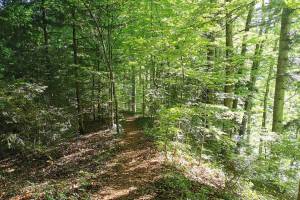 Zwischen Brunnadern und Gerensattel
