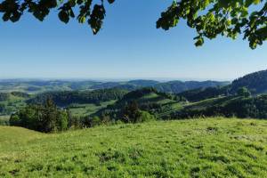 Ausblick von der Wimpfelhöhe auf das untere Toggenburg